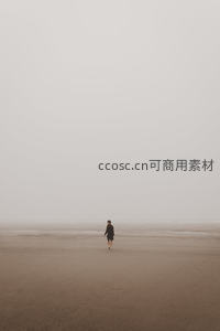 雾霭海滩上的孤独背影