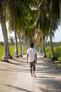 椰林小道上的赤脚背影