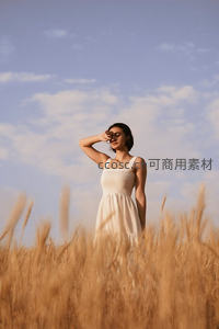 麦田里的夏日剪影