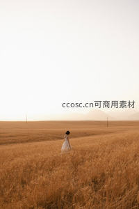 金色原野上的孤独背影