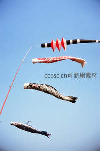 鲤鱼旗迎风舞，蓝天映衬庆佳节