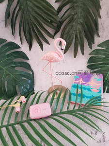 热带风火烈鸟桌面摆件