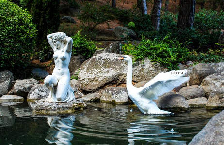 天鹅与女神雕像共舞园林池塘