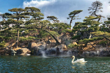 松林环抱的湖畔，一只天鹅静享仙境