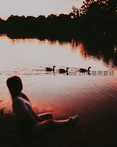 夕阳湖畔，人与鸭群共享宁静时光