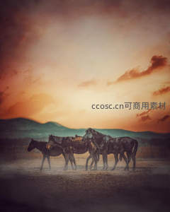 夕阳下马群漫步沙丘