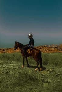 头盔骑士与马伫立荒野崖边