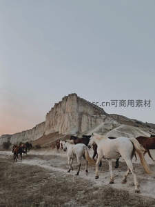群马奔腾于白垩岩山脚下