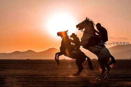 双骑手夕阳下策马扬蹄