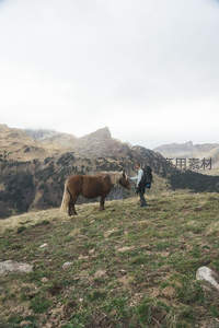 登山者与野马山顶邂逅