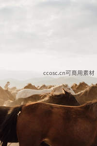 夕阳下马群剪影，远山如黛云霞漫天