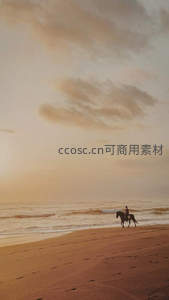 一人一马漫步黄昏海岸线