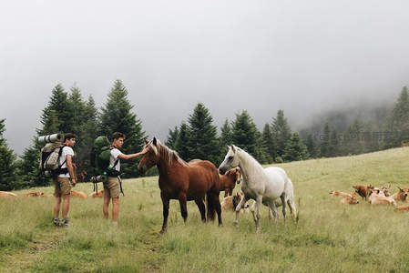 背包客抚马背，云雾山野共悠游