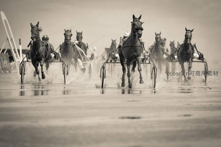 赛马疾驰水花四溅黑白动感瞬间