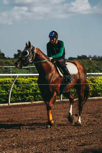 骑手策马疾驰，训练场扬起尘土