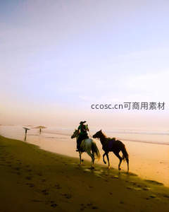 海滩策马踏浪花，夕阳余晖染金沙