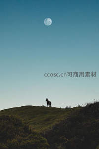 月下孤马立山巅，静谧夜色如画卷