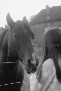 黑白光影下女孩与黑马温柔对视