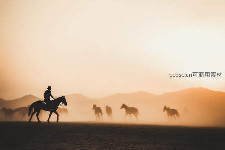 孤骑踏尘归，暮色山峦映马影