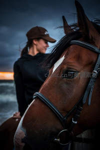 马匹特写与主人相伴