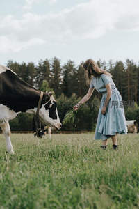 女子喂食奶牛青草的温柔时刻