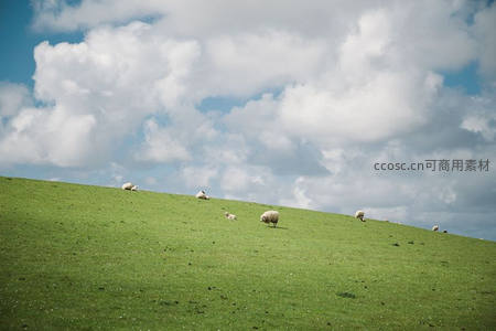 蓝天白云下羊群散落青翠山坡