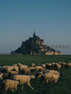 圣米歇尔山下羊群奔腾，暮色古堡如画