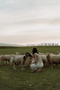 草原上女子与羊群温馨互动