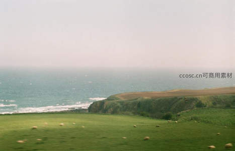 海岸悬崖绿野羊群悠然自得