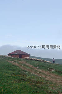 山坡牧舍旁羊群缓行牧人相伴