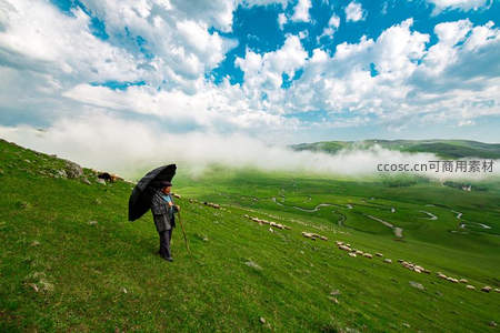 牧人撑伞立山坡，云海羊群绕蜿蜒河