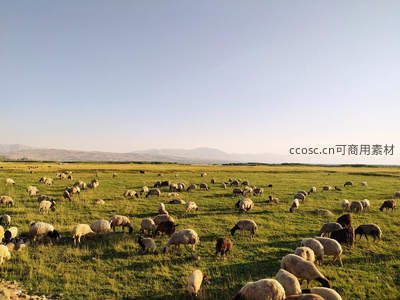 夕阳牧场羊如星，绿野无垠山作屏