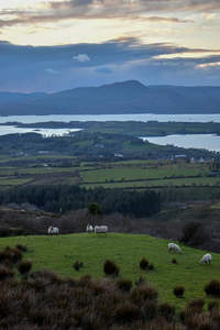 山峦湖畔绿野牧羊图