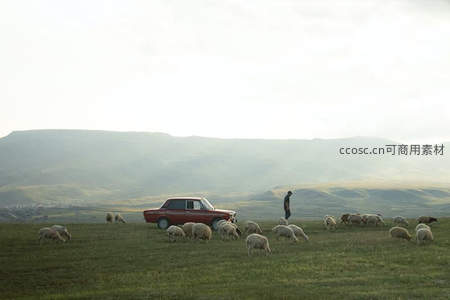 草原牧羊人与老式红车相伴，宁静田园画卷