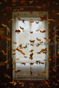 万千蝶影飞舞窗前如梦似幻