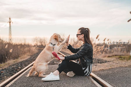 女孩与金毛犬在铁轨上击掌互动