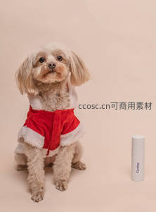 穿圣诞服的小狗与白色瓶装产品