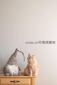 橘猫与针织小矮人同坐木柜上