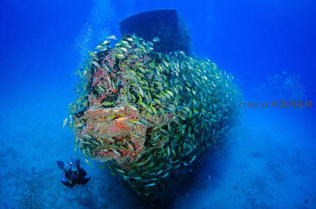 潜水员探索被鱼群覆盖的沉船遗迹