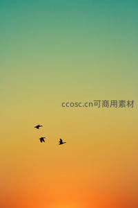 三鸟剪影掠过绚烂黄昏天际