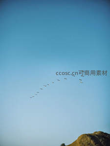 雁阵飞过晴空，山峦静默相迎