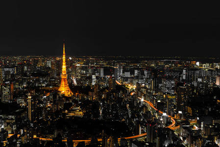 东京塔夜景，璀璨灯火中的城市地标