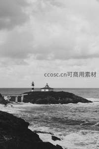 黑白影像中双塔守望惊涛骇浪