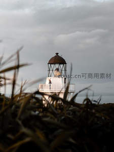 草丛后窥见灯塔上的旅人