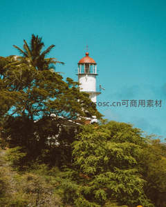 绿树掩映中的白色灯塔