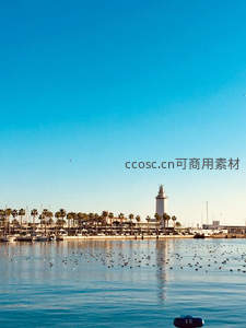 港口码头与远处灯塔