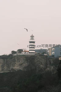 条纹灯塔悬崖屹立，飞鸟掠过阴霾天空