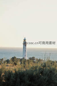 远眺海边孤灯塔，绿植掩映波光粼粼