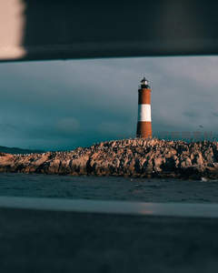 孤岛灯塔与群鸟栖息的海岸奇观