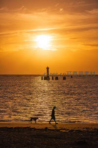 金色夕阳下遛狗人影